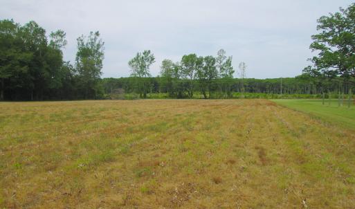 Photo #51 of SOLD property in Off Sunbeam Road, Franklin, VA 52.0 acres