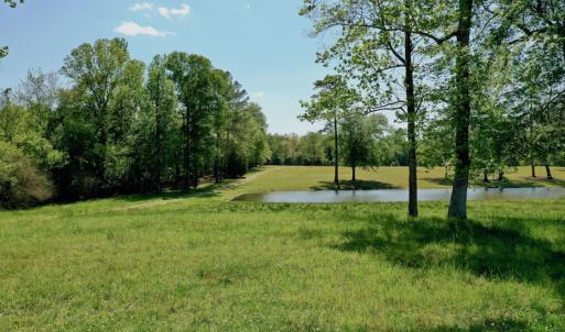 Photo #3 of Off Hwy 43, Vanceboro, NC 26.0 acres