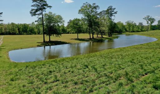 Photo #4 of Off Hwy 43, Vanceboro, NC 26.0 acres