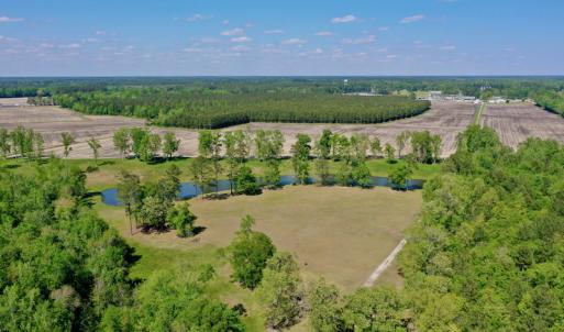 Photo #6 of Off Hwy 43, Vanceboro, NC 26.0 acres