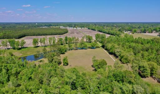 Photo #7 of Off Hwy 43, Vanceboro, NC 26.0 acres