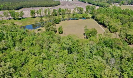 Photo #8 of Off Hwy 43, Vanceboro, NC 26.0 acres