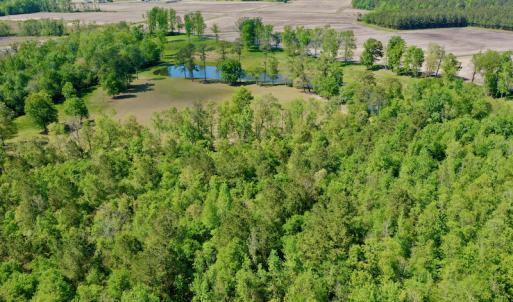 Photo #10 of Off Hwy 43, Vanceboro, NC 26.0 acres
