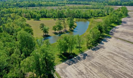 Photo #12 of Off Hwy 43, Vanceboro, NC 26.0 acres