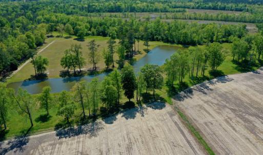 Photo #13 of Off Hwy 43, Vanceboro, NC 26.0 acres