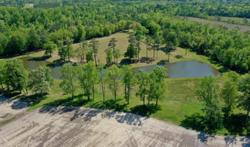 Photo #14 of Off Hwy 43, Vanceboro, NC 26.0 acres