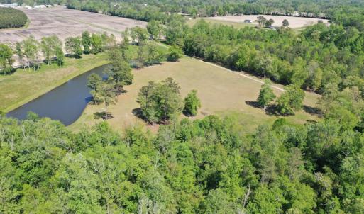 Photo #17 of Off Hwy 43, Vanceboro, NC 26.0 acres