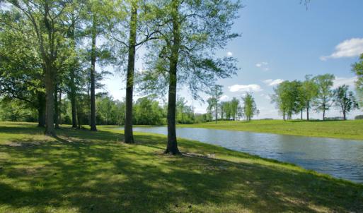 Photo #23 of Off Hwy 43, Vanceboro, NC 26.0 acres