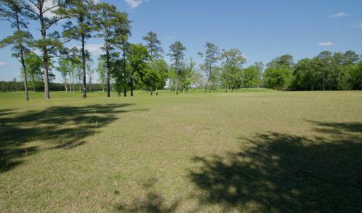 Photo #25 of Off Hwy 43, Vanceboro, NC 26.0 acres