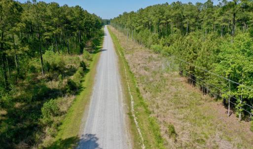 Photo #3 of SOLD property in 428 Batt's Island Road, Edenton, NC 22.0 acres