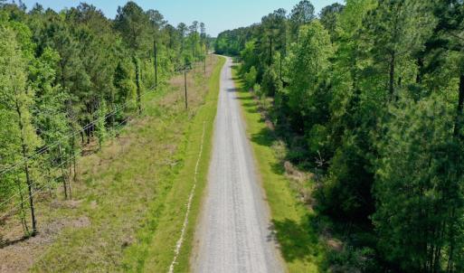 Photo #4 of SOLD property in 428 Batt's Island Road, Edenton, NC 22.0 acres