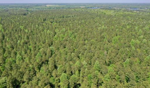 Photo #10 of SOLD property in 428 Batt's Island Road, Edenton, NC 22.0 acres