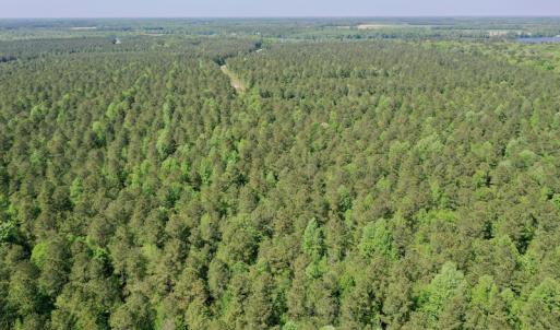 Photo #11 of SOLD property in 428 Batt's Island Road, Edenton, NC 22.0 acres
