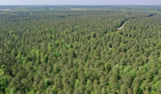 Photo #12 of SOLD property in 428 Batt's Island Road, Edenton, NC 22.0 acres