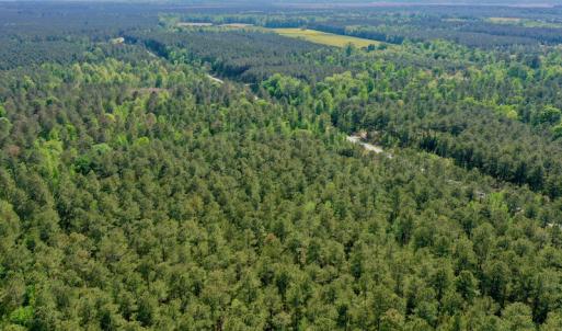 Photo #17 of SOLD property in 428 Batt's Island Road, Edenton, NC 22.0 acres