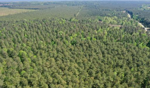 Photo #18 of SOLD property in 428 Batt's Island Road, Edenton, NC 22.0 acres