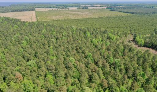 Photo #21 of SOLD property in 428 Batt's Island Road, Edenton, NC 22.0 acres