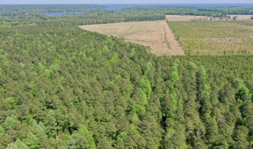 Photo #22 of SOLD property in 428 Batt's Island Road, Edenton, NC 22.0 acres