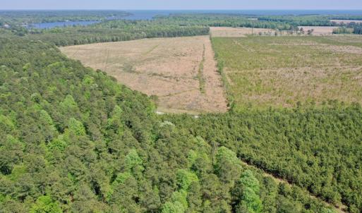 Photo #23 of SOLD property in 428 Batt's Island Road, Edenton, NC 22.0 acres