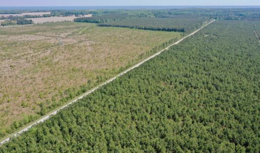 Photo #24 of SOLD property in 428 Batt's Island Road, Edenton, NC 22.0 acres