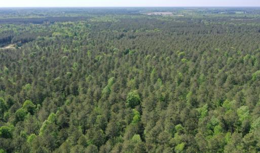 Photo #25 of SOLD property in 428 Batt's Island Road, Edenton, NC 22.0 acres