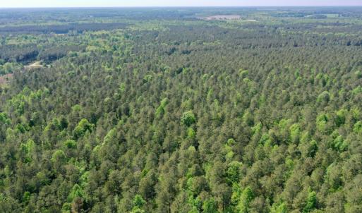 Photo #26 of SOLD property in 428 Batt's Island Road, Edenton, NC 22.0 acres
