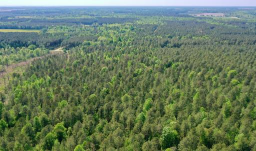 Photo #27 of SOLD property in 428 Batt's Island Road, Edenton, NC 22.0 acres