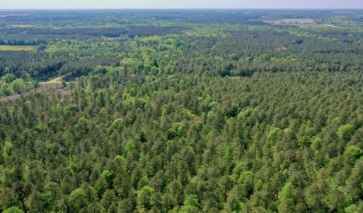 Photo #28 of SOLD property in 428 Batt's Island Road, Edenton, NC 22.0 acres