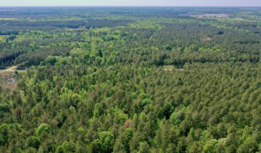 Photo #29 of SOLD property in 428 Batt's Island Road, Edenton, NC 22.0 acres