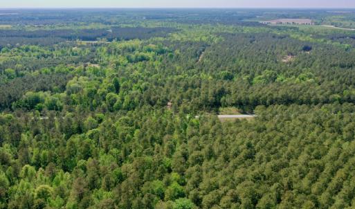 Photo #30 of SOLD property in 428 Batt's Island Road, Edenton, NC 22.0 acres