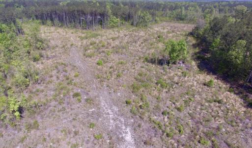Photo #4 of SOLD property in Off Halifax Road, Lawrenceville, VA 53.3 acres