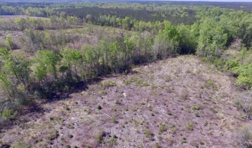 Photo #3 of SOLD property in Off Halifax Road, Lawrenceville, VA 53.3 acres