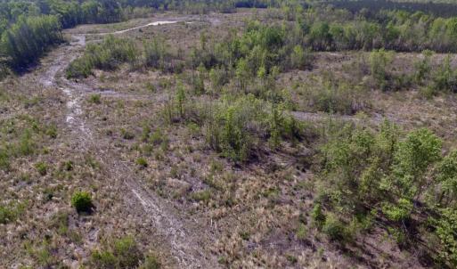 Photo #5 of SOLD property in Off Halifax Road, Lawrenceville, VA 53.3 acres
