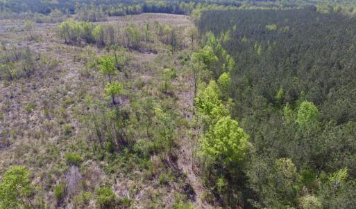 Photo #6 of SOLD property in Off Halifax Road, Lawrenceville, VA 53.3 acres
