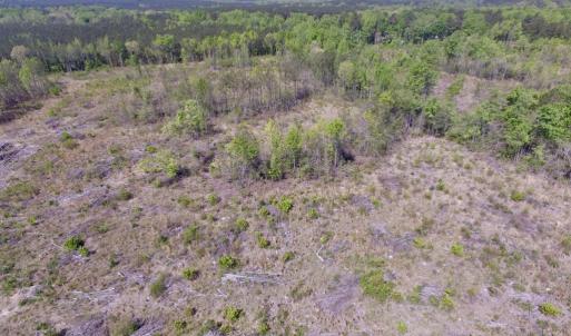 Photo #7 of SOLD property in Off Halifax Road, Lawrenceville, VA 53.3 acres