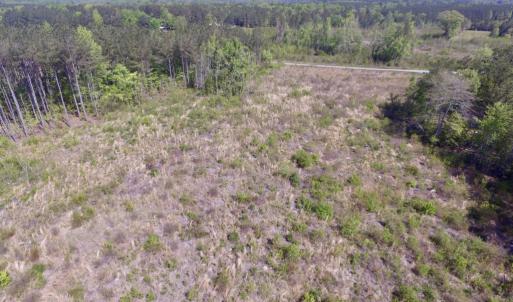 Photo #12 of SOLD property in Off Halifax Road, Lawrenceville, VA 53.3 acres