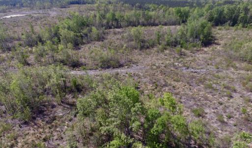 Photo #8 of SOLD property in Off Halifax Road, Lawrenceville, VA 53.3 acres