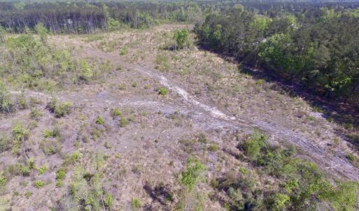 Photo #9 of SOLD property in Off Halifax Road, Lawrenceville, VA 53.3 acres