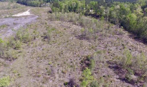 Photo #10 of SOLD property in Off Halifax Road, Lawrenceville, VA 53.3 acres