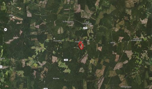 Photo #2 of SOLD property in Off Halifax Road, Lawrenceville, VA 53.3 acres