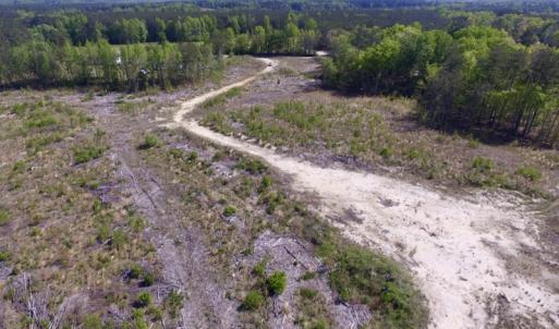 Photo #13 of SOLD property in Off Halifax Road, Lawrenceville, VA 53.3 acres