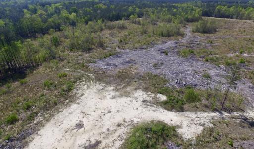 Photo #14 of SOLD property in Off Halifax Road, Lawrenceville, VA 53.3 acres
