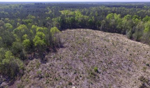 Photo #15 of SOLD property in Off Halifax Road, Lawrenceville, VA 53.3 acres