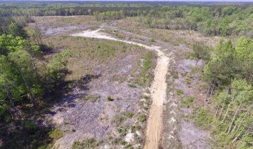 Photo #16 of SOLD property in Off Halifax Road, Lawrenceville, VA 53.3 acres