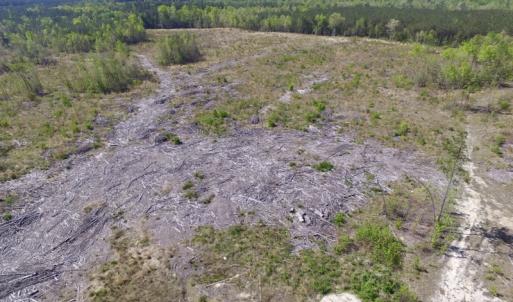 Photo #17 of SOLD property in Off Halifax Road, Lawrenceville, VA 53.3 acres