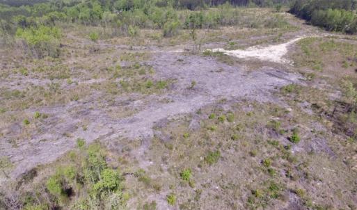 Photo #18 of SOLD property in Off Halifax Road, Lawrenceville, VA 53.3 acres