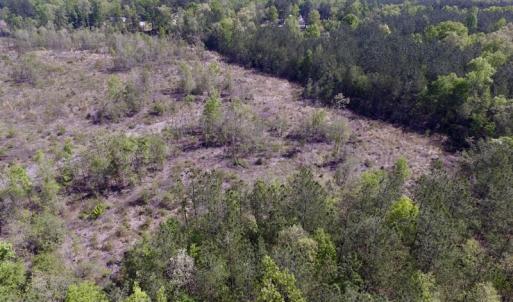 Photo #19 of SOLD property in Off Halifax Road, Lawrenceville, VA 53.3 acres