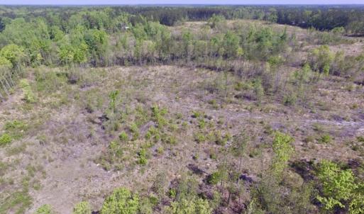 Photo #20 of SOLD property in Off Halifax Road, Lawrenceville, VA 53.3 acres