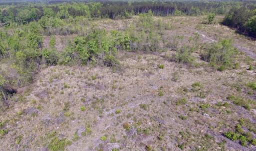 Photo #21 of SOLD property in Off Halifax Road, Lawrenceville, VA 53.3 acres
