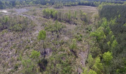 Photo #22 of SOLD property in Off Halifax Road, Lawrenceville, VA 53.3 acres